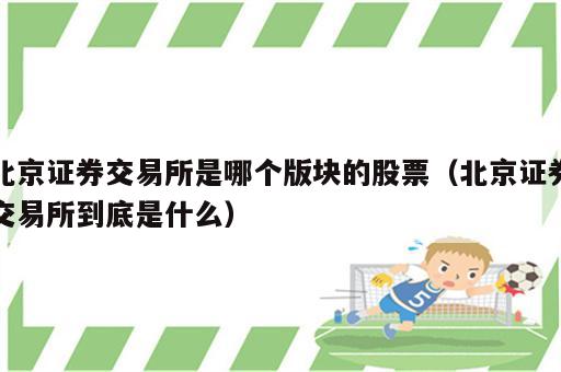 北京证券交易所是哪个版块的股票（北京证券交易所到底是什么）