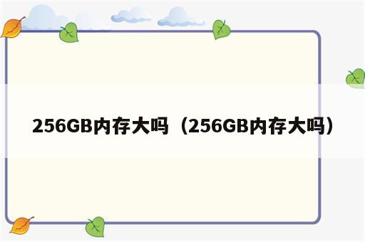 256GB内存大吗（256GB内存大吗）