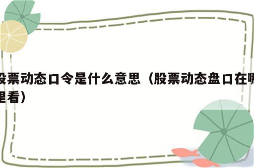 股票动态口令是什么意思（股票动态盘口在哪里看）