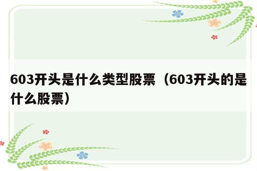 603开头是什么类型股票（603开头的是什么股票）