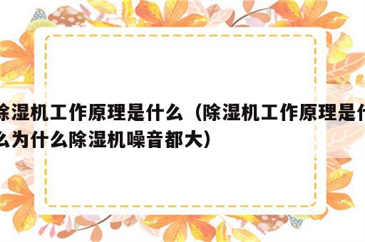 除湿机工作原理是什么（除湿机工作原理是什么为什么除湿机噪音都大）