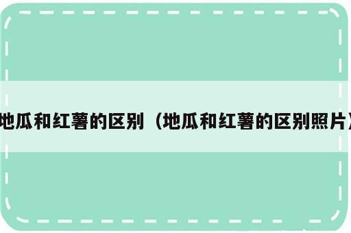 地瓜和红薯的区别（地瓜和红薯的区别照片）