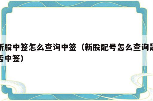 新股中签怎么查询中签（新股配号怎么查询是否中签）