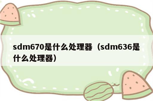 sdm670是什么处理器（sdm636是什么处理器）