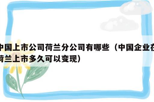 中国上市公司荷兰分公司有哪些（中国企业在荷兰上市多久可以变现）