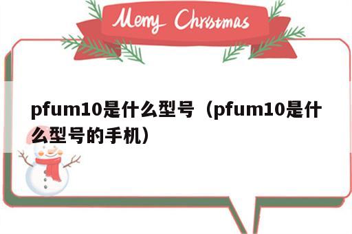 pfum10是什么型号（pfum10是什么型号的手机）