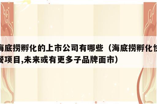 海底捞孵化的上市公司有哪些（海底捞孵化快餐项目,未来或有更多子品牌面市）