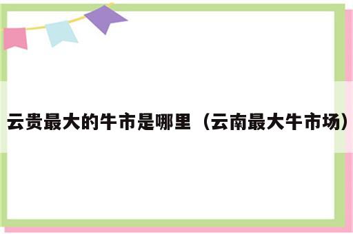 云贵最大的牛市是哪里（云南最大牛市场）