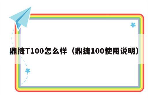 鼎捷T100怎么样（鼎捷100使用说明）