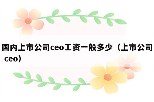 国内上市公司ceo工资一般多少（上市公司 ceo）