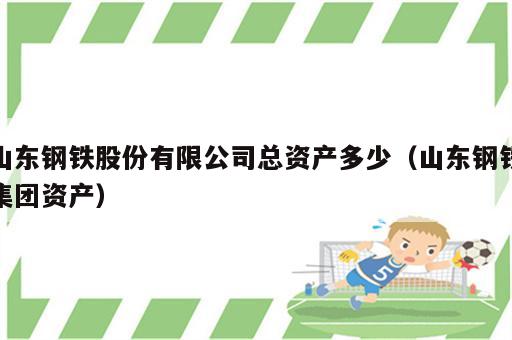 山东钢铁股份有限公司总资产多少（山东钢铁集团资产）