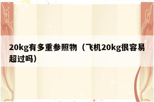 20kg有多重参照物（飞机20kg很容易超过吗）