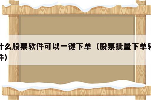 什么股票软件可以一键下单（股票批量下单软件）