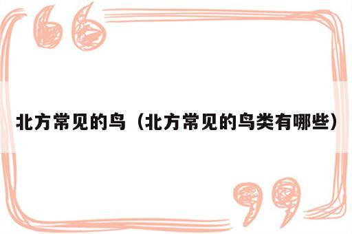 北方常见的鸟（北方常见的鸟类有哪些）