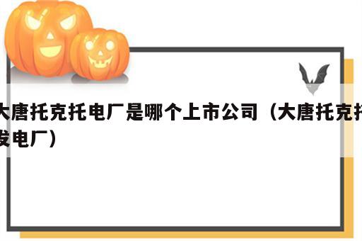 大唐托克托电厂是哪个上市公司（大唐托克托发电厂）