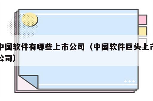 中国软件有哪些上市公司（中国软件巨头上市公司）