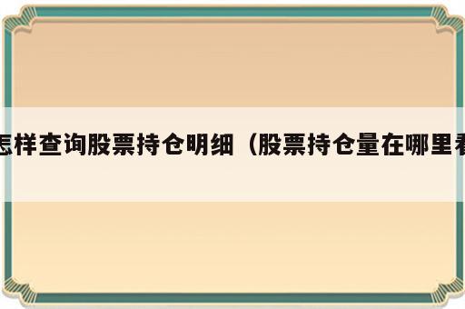 怎样查询股票持仓明细（股票持仓量在哪里看）