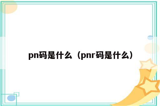 pn码是什么（pnr码是什么）