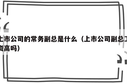 上市公司的常务副总是什么（上市公司副总工资高吗）