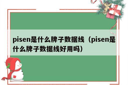 pisen是什么牌子数据线（pisen是什么牌子数据线好用吗）