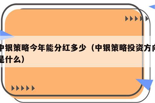 中银策略今年能分红多少（中银策略投资方向是什么）