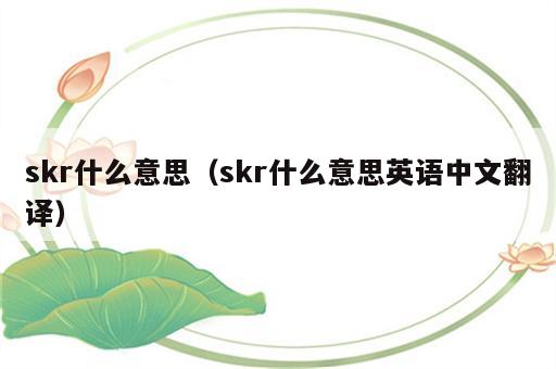 skr什么意思（skr什么意思英语中文翻译）