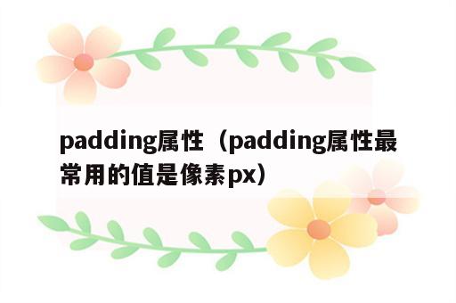 padding属性（padding属性最常用的值是像素px）