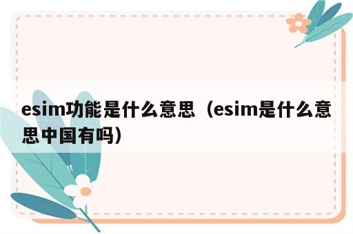 esim功能是什么意思（esim是什么意思中国有吗）