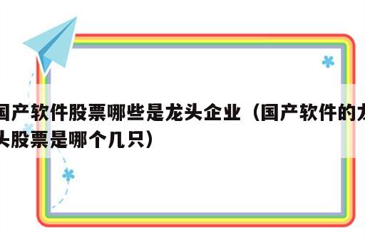 国产软件股票哪些是龙头企业（国产软件的龙头股票是哪个几只）