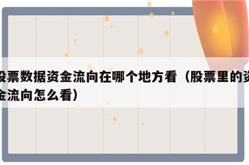 股票数据资金流向在哪个地方看（股票里的资金流向怎么看）