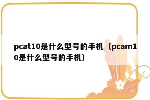 pcat10是什么型号的手机（pcam10是什么型号的手机）