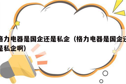 格力电器是国企还是私企（格力电器是国企还是私企啊）