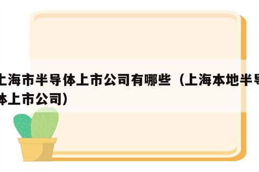 上海市半导体上市公司有哪些（上海本地半导体上市公司）