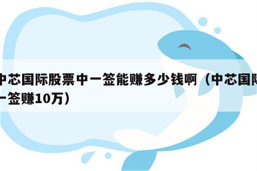 中芯国际股票中一签能赚多少钱啊（中芯国际一签赚10万）