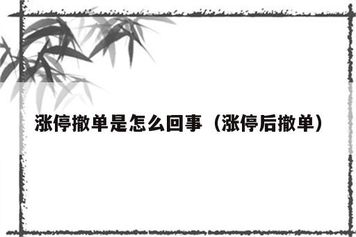 涨停撤单是怎么回事（涨停后撤单）