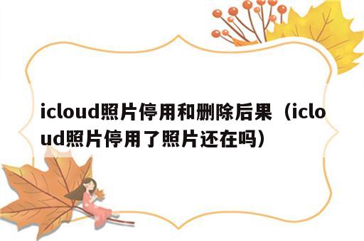 icloud照片停用和删除后果（icloud照片停用了照片还在吗）