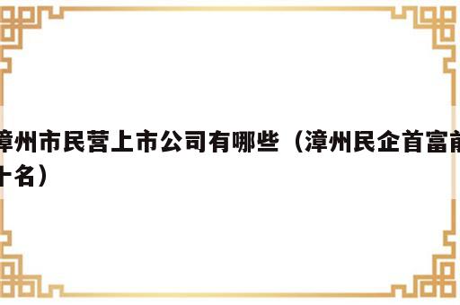 漳州市民营上市公司有哪些（漳州民企首富前十名）