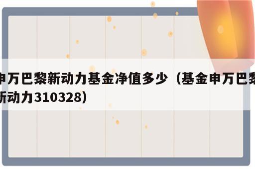 申万巴黎新动力基金净值多少（基金申万巴黎新动力310328）