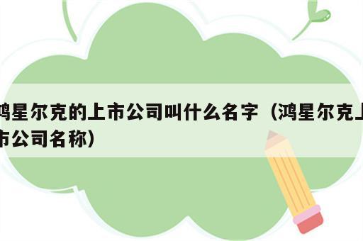 鸿星尔克的上市公司叫什么名字（鸿星尔克上市公司名称）