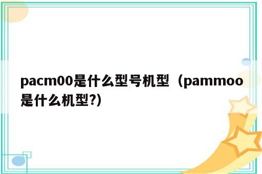 pacm00是什么型号机型（pammoo是什么机型?）