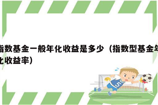 指数基金一般年化收益是多少（指数型基金年化收益率）