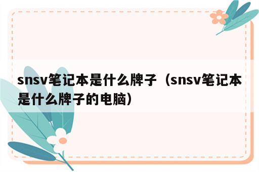 snsv笔记本是什么牌子（snsv笔记本是什么牌子的电脑）