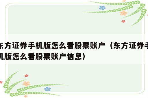 东方证券手机版怎么看股票账户（东方证券手机版怎么看股票账户信息）