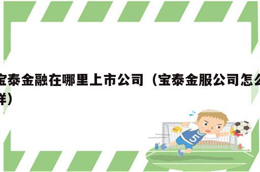 宝泰金融在哪里上市公司（宝泰金服公司怎么样）