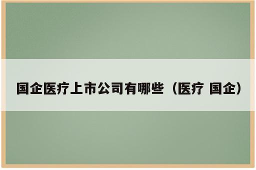 国企医疗上市公司有哪些（医疗 国企）