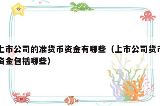 上市公司的准货币资金有哪些（上市公司货币资金包括哪些）