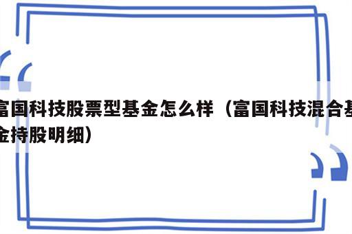 富国科技股票型基金怎么样（富国科技混合基金持股明细）