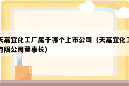 天嘉宜化工厂属于哪个上市公司（天嘉宜化工有限公司董事长）