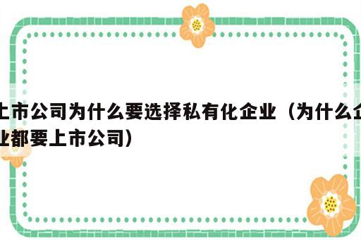 上市公司为什么要选择私有化企业（为什么企业都要上市公司）