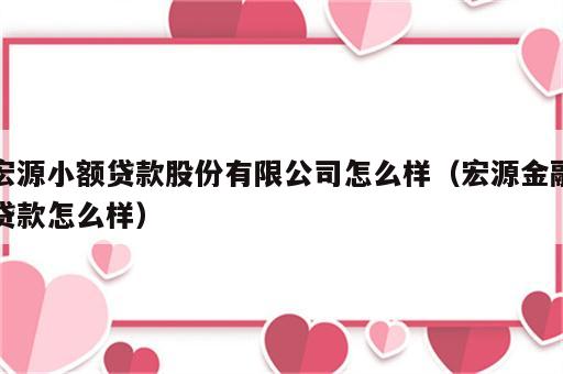 宏源小额贷款股份有限公司怎么样（宏源金融贷款怎么样）